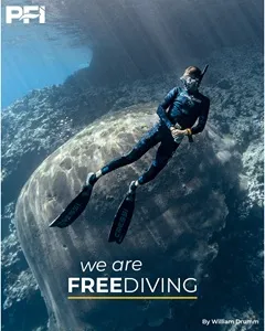 PFI Freediving – Apnoetauchen innerhalb der Ausbildungsfamilie PFI Freediver beim Apnoetauchen in freiem Wasser