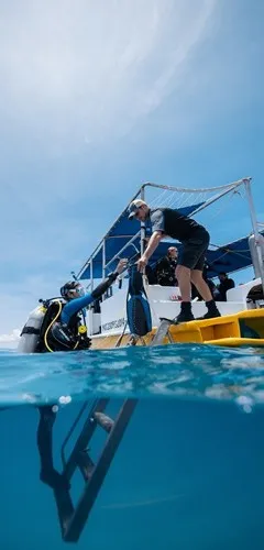 Vom Open Water Diver zum erfahrenen Taucher Taucher beim Einstieg vom Boot als Symbol für die langfristige Entwicklung in der Tauchausbildung